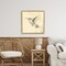 Stupell Industries Vintage Hummingbird Sketch Floating Frame, design by Petal Prints Design